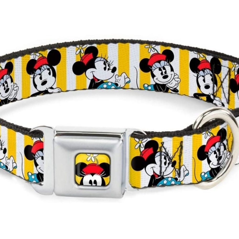 Size M , 1.5" thick Disney dog collar